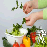 Curso Sena elaboración de alimentos saludables