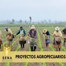 Tecnología en proyectos agropecuarios Sena