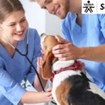 Curso de Veterinaria Sena