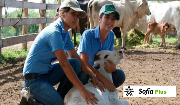 Curso de zootecnia Sena